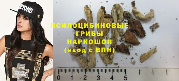 ALPHA PVP Белокуриха