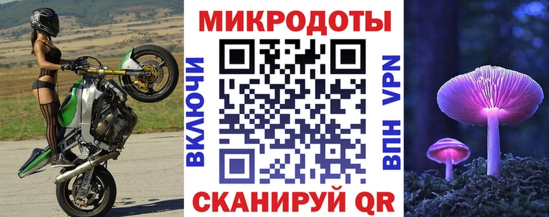 Псилоцибиновые грибы Psilocybine cubensis  Белоусово 
