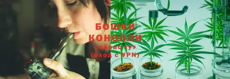 Шишки марихуана OG Kush  Белоусово 